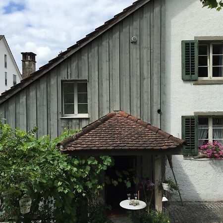 Airport Zuerich Elwiras B & B Lufingen Dış mekan fotoğraf