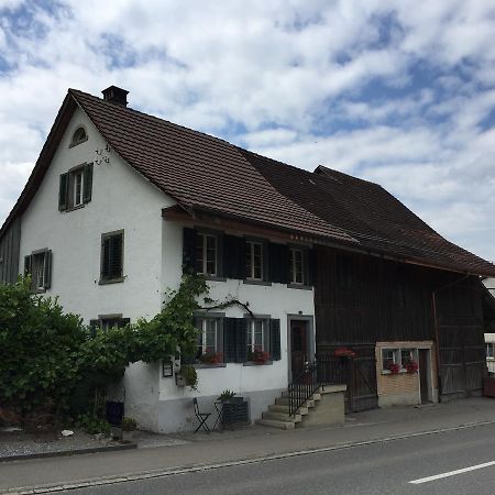 Airport Zuerich Elwiras B & B Lufingen Dış mekan fotoğraf