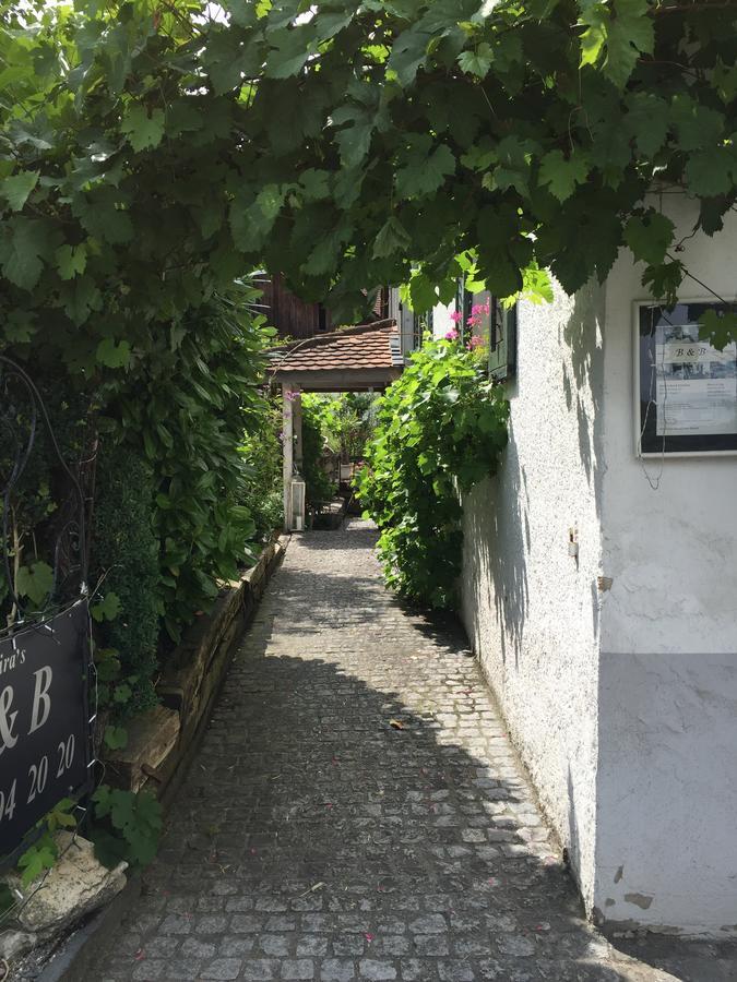 Airport Zuerich Elwiras B & B Lufingen Dış mekan fotoğraf