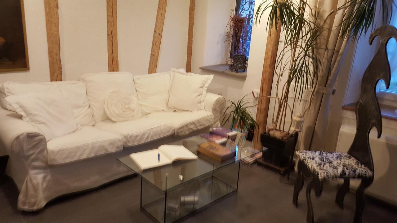 Airport Zuerich Elwiras B & B Lufingen Dış mekan fotoğraf