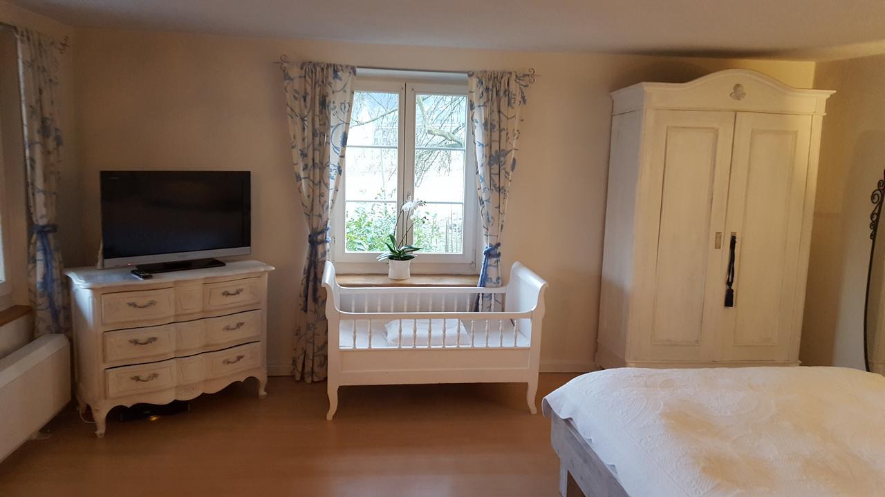 Airport Zuerich Elwiras B & B Lufingen Dış mekan fotoğraf
